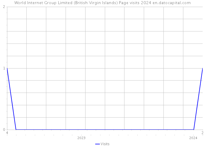 World Internet Group Limited (British Virgin Islands) Page visits 2024 