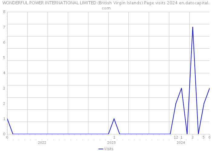 WONDERFUL POWER INTERNATIONAL LIMITED (British Virgin Islands) Page visits 2024 