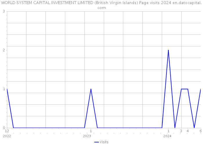 WORLD SYSTEM CAPITAL INVESTMENT LIMITED (British Virgin Islands) Page visits 2024 