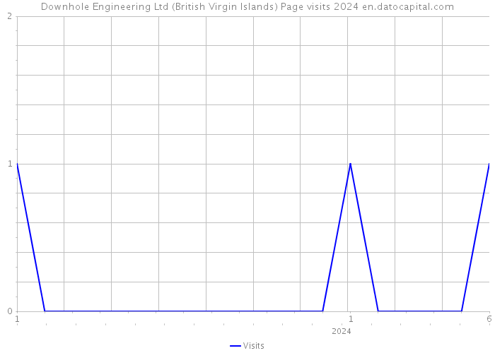 Downhole Engineering Ltd (British Virgin Islands) Page visits 2024 