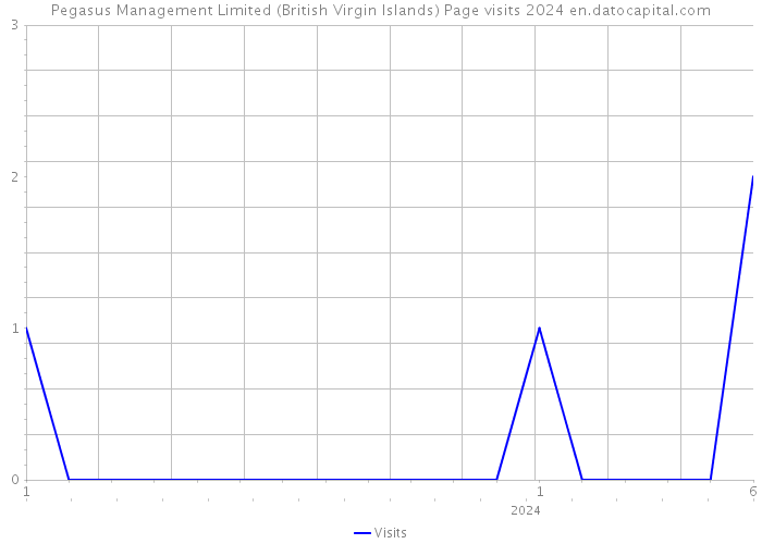 Pegasus Management Limited (British Virgin Islands) Page visits 2024 