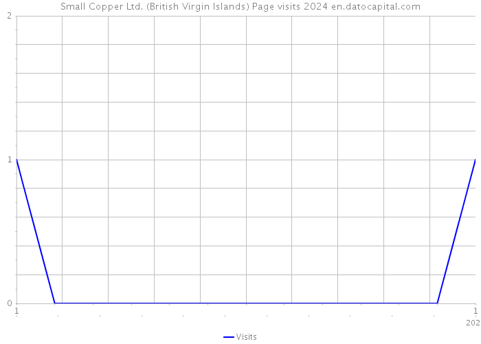 Small Copper Ltd. (British Virgin Islands) Page visits 2024 