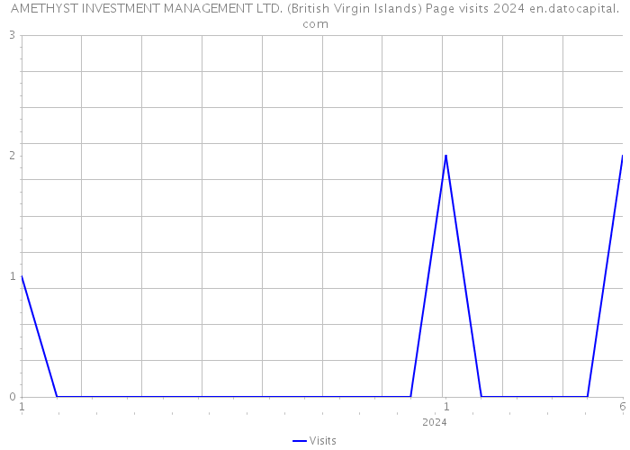 AMETHYST INVESTMENT MANAGEMENT LTD. (British Virgin Islands) Page visits 2024 