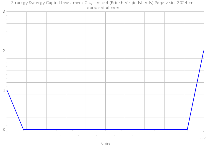 Strategy Synergy Capital Investment Co., Limited (British Virgin Islands) Page visits 2024 