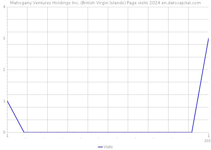 Mahogany Ventures Holdings Inc. (British Virgin Islands) Page visits 2024 
