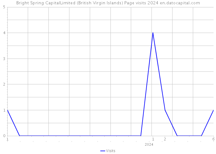 Bright Spring CapitalLimited (British Virgin Islands) Page visits 2024 