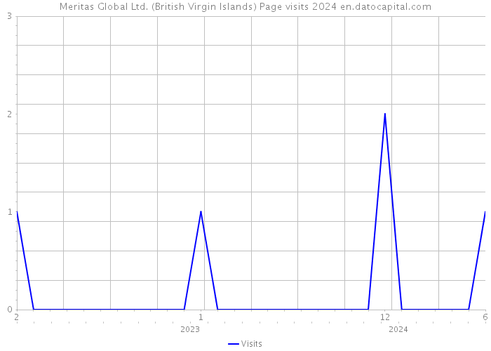 Meritas Global Ltd. (British Virgin Islands) Page visits 2024 
