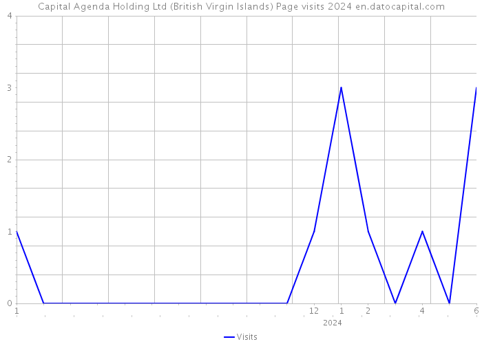Capital Agenda Holding Ltd (British Virgin Islands) Page visits 2024 