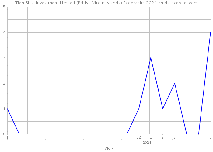 Tien Shui Investment Limited (British Virgin Islands) Page visits 2024 