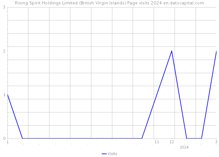 Rising Spirit Holdings Limited (British Virgin Islands) Page visits 2024 