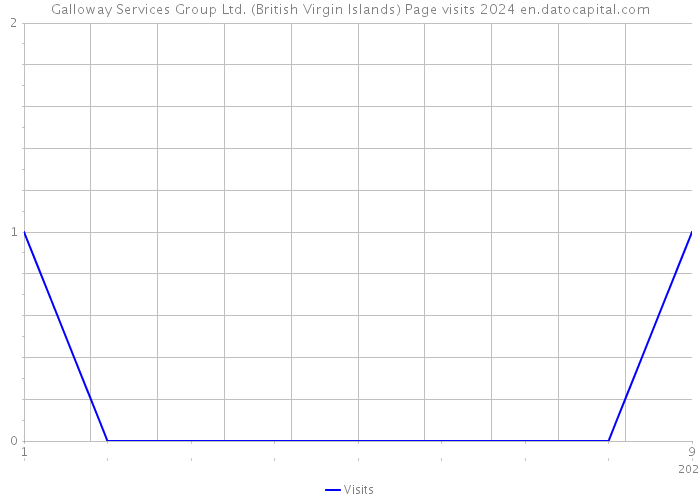 Galloway Services Group Ltd. (British Virgin Islands) Page visits 2024 
