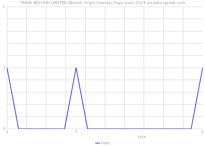 THINK BEYOND LIMITED (British Virgin Islands) Page visits 2024 