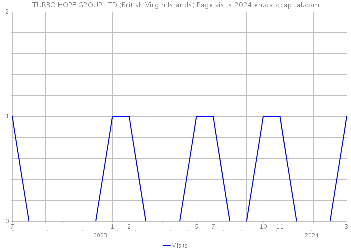 TURBO HOPE GROUP LTD (British Virgin Islands) Page visits 2024 