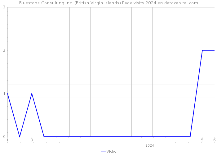 Bluestone Consulting Inc. (British Virgin Islands) Page visits 2024 