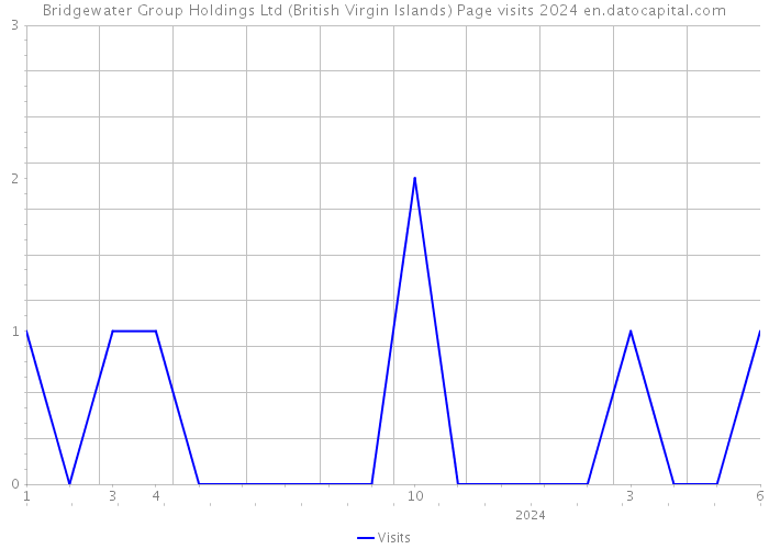 Bridgewater Group Holdings Ltd (British Virgin Islands) Page visits 2024 