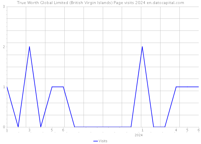 True Worth Global Limited (British Virgin Islands) Page visits 2024 