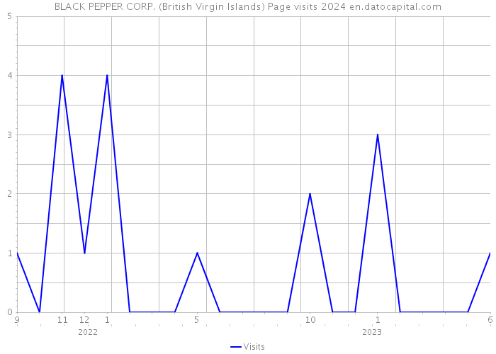 BLACK PEPPER CORP. (British Virgin Islands) Page visits 2024 