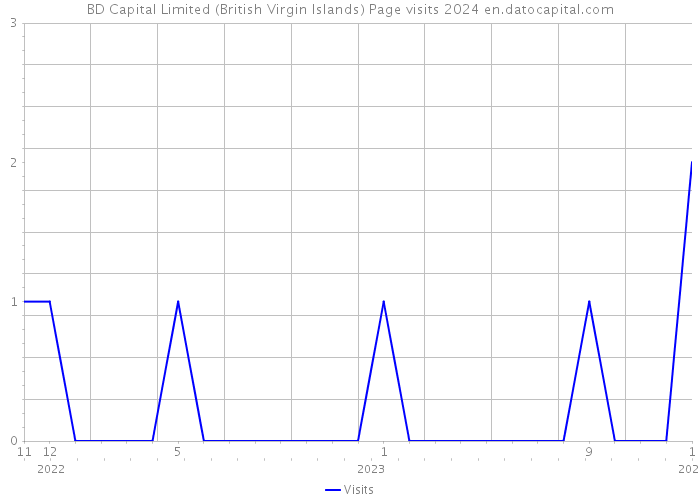 BD Capital Limited (British Virgin Islands) Page visits 2024 