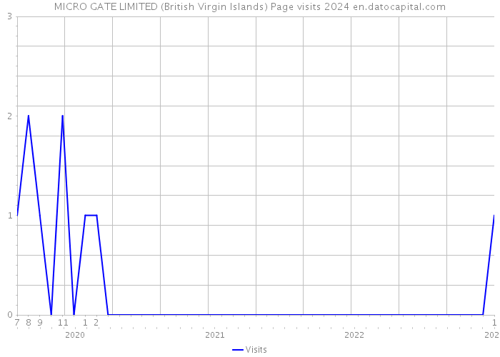 MICRO GATE LIMITED (British Virgin Islands) Page visits 2024 