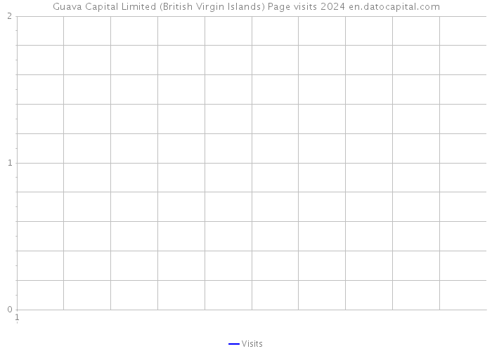 Guava Capital Limited (British Virgin Islands) Page visits 2024 